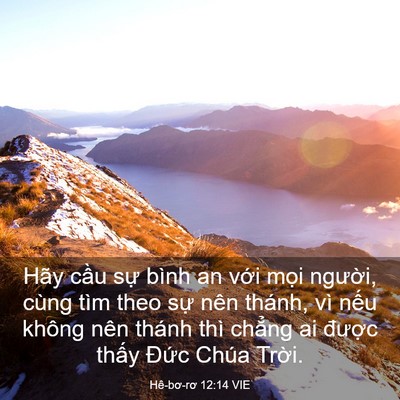 Picture 03 - Hê-bơ-rơ 12:14 VIE - Hãy cầu sự bình an với mọi người, - Bible Verse Picture
