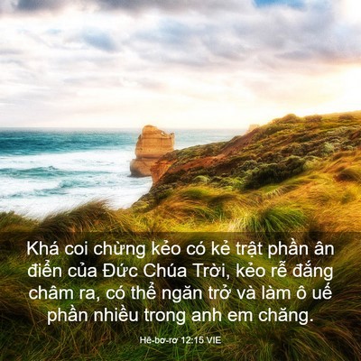 Picture 03 - Hê-bơ-rơ 12:15 VIE - Khá coi chừng kẻo có kẻ trật phần ân - Bible Verse Picture