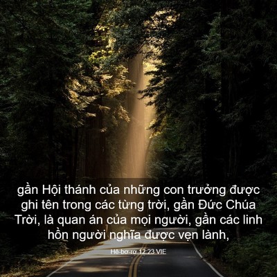Picture 03 - Hê-bơ-rơ 12:23 VIE - gần Hội thánh của những con trưởng - Bible Verse Picture