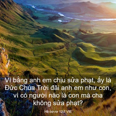Picture 03 - Hê-bơ-rơ 12:7 VIE - Ví bằng anh em chịu sửa phạt, ấy là - Bible Verse Picture
