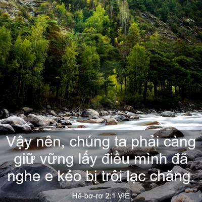 Picture 03 - Hê-bơ-rơ 2:1 VIE - Vậy nên, chúng ta phải càng giữ vững - Bible Verse Picture