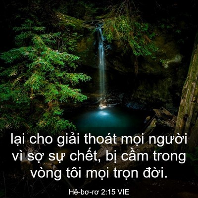 Picture 03 - Hê-bơ-rơ 2:15 VIE - lại cho giải thoát mọi người vì sợ - Bible Verse Picture