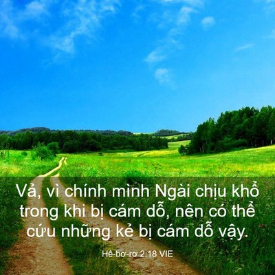 Picture 03 - Hê-bơ-rơ 2:18 VIE - Vả, vì chính mình Ngài chịu khổ trong - Bible Verse Picture