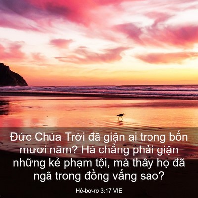 Picture 03 - Hê-bơ-rơ 3:17 VIE - Đức Chúa Trời đã giận ai trong bốn - Bible Verse Picture