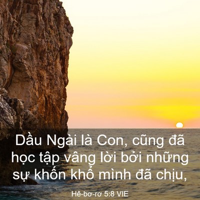 Picture 03 - Hê-bơ-rơ 5:8 VIE - Dầu Ngài là Con, cũng đã học tập vâng - Bible Verse Picture