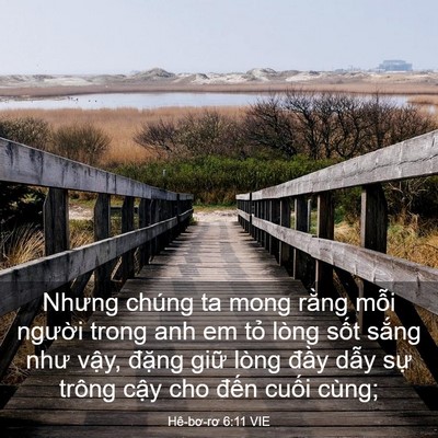Picture 03 - Hê-bơ-rơ 6:11 VIE - Nhưng chúng ta mong rằng mỗi người trong - Bible Verse Picture