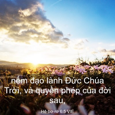 Picture 03 - Hê-bơ-rơ 6:5 VIE - nếm đạo lành Đức Chúa Trời, và - Bible Verse Picture