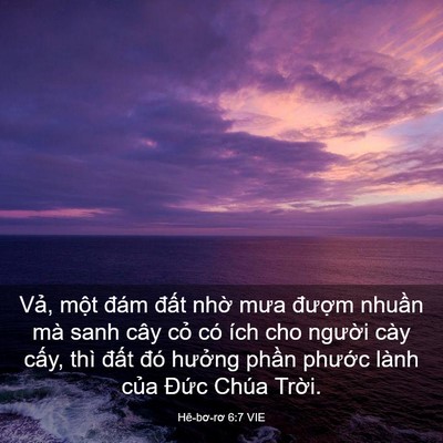 Picture 03 - Hê-bơ-rơ 6:7 VIE - Vả, một đám đất nhờ mưa đượm - Bible Verse Picture