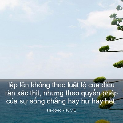 Picture 03 - Hê-bơ-rơ 7:16 VIE - lập lên không theo luật lệ của điều - Bible Verse Picture