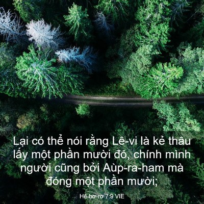 Picture 03 - Hê-bơ-rơ 7:9 VIE - Lại có thể nói rằng Lê-vi là kẻ thâu - Bible Verse Picture
