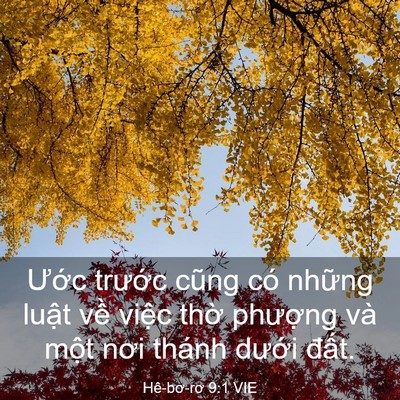 Picture 03 - Hê-bơ-rơ 9:1 VIE - Ước trước cũng có những luật về - Bible Verse Picture