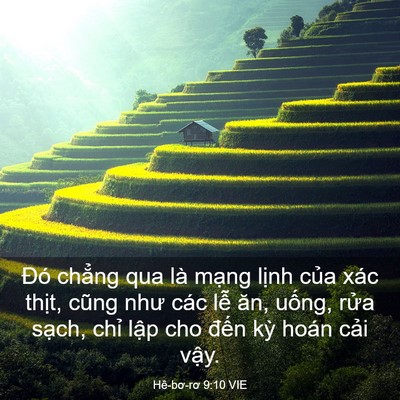 Picture 03 - Hê-bơ-rơ 9:10 VIE - Đó chẳng qua là mạng lịnh của xác - Bible Verse Picture
