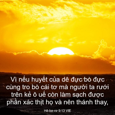 Picture 03 - Hê-bơ-rơ 9:13 VIE - Vì nếu huyết của dê đực bò đực - Bible Verse Picture