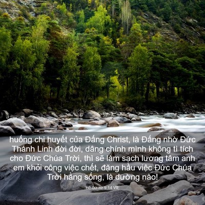 Picture 03 - Hê-bơ-rơ 9:14 VIE - huống chi huyết của Đấng Christ, là - Bible Verse Picture