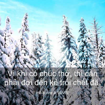 Picture 03 - Hê-bơ-rơ 9:16 VIE - Vì khi có chúc thơ, thì cần phải đợi - Bible Verse Picture