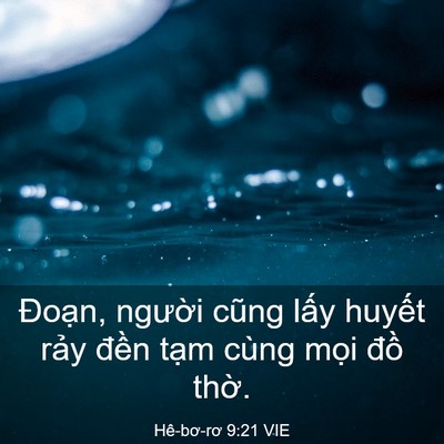 Picture 03 - Hê-bơ-rơ 9:21 VIE - Đoạn, người cũng lấy huyết rảy - Bible Verse Picture