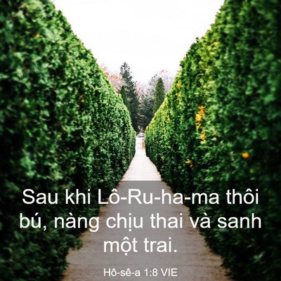 Picture 03 - Hô-sê-a 1:8 VIE - Sau khi Lô-Ru-ha-ma thôi bú, nàng chịu thai - Bible Verse Picture