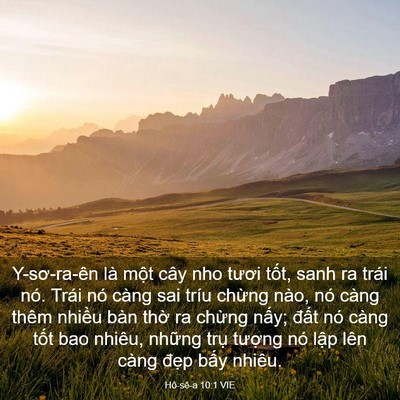 Picture 03 - Hô-sê-a 10:1 VIE - Y-sơ-ra-ên là một cây nho tươi tốt, - Bible Verse Picture
