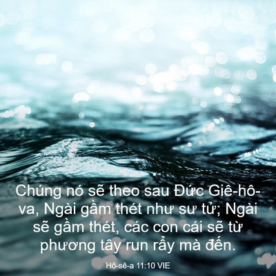 Picture 03 - Hô-sê-a 11:10 VIE - Chúng nó sẽ theo sau Đức Giê-hô-va, - Bible Verse Picture