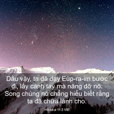 Picture 03 - Hô-sê-a 11:3 VIE - Dầu vậy, ta đã dạy Eùp-ra-im bước - Bible Verse Picture