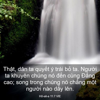 Picture 03 - Hô-sê-a 11:7 VIE - Thật, dân ta quyết ý trái bỏ ta. - Bible Verse Picture
