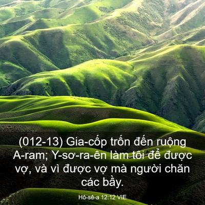 Picture 03 - Hô-sê-a 12:12 VIE - (012-13) Gia-cốp trốn đến ruộng A-ram; - Bible Verse Picture