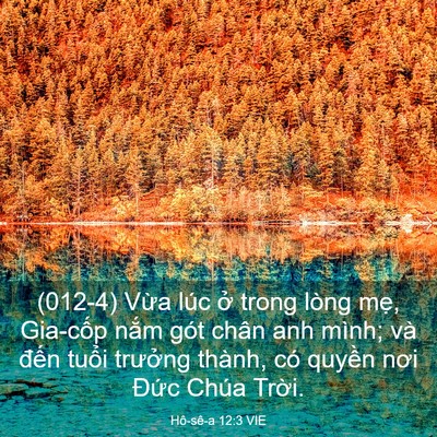 Picture 03 - Hô-sê-a 12:3 VIE - (012-4) Vừa lúc ở trong lòng mẹ, - Bible Verse Picture