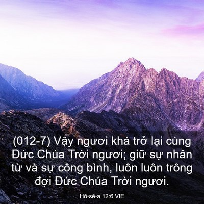 Picture 03 - Hô-sê-a 12:6 VIE - (012-7) Vậy ngươi khá trở lại cùng - Bible Verse Picture