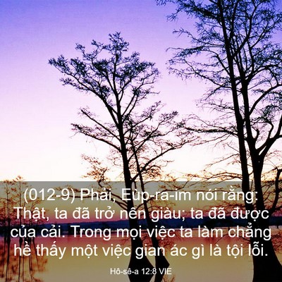 Picture 03 - Hô-sê-a 12:8 VIE - (012-9) Phải, Eùp-ra-im nói rằng: Thật, - Bible Verse Picture
