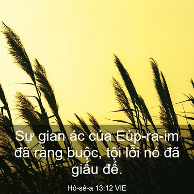 Picture 03 - Hô-sê-a 13:12 VIE - Sự gian ác của Eùp-ra-im đã ràng buộc, - Bible Verse Picture