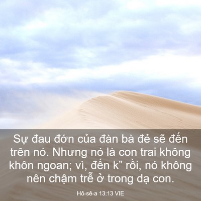 Picture 03 - Hô-sê-a 13:13 VIE - Sự đau đớn của đàn bà đẻ sẽ - Bible Verse Picture
