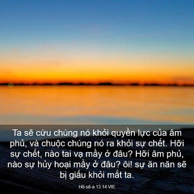 Picture 03 - Hô-sê-a 13:14 VIE - Ta sẽ cứu chúng nó khỏi quyền lực - Bible Verse Picture