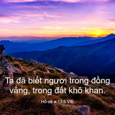 Picture 03 - Hô-sê-a 13:5 VIE - Ta đã biết ngươi trong đồng vắng, - Bible Verse Picture