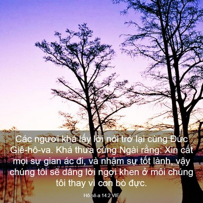 Picture 03 - Hô-sê-a 14:2 VIE - Các ngươi khá lấy lời nói trở lại - Bible Verse Picture