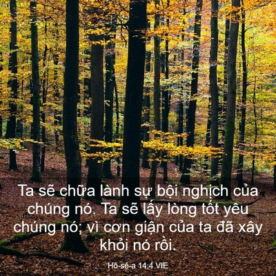 Picture 03 - Hô-sê-a 14:4 VIE - Ta sẽ chữa lành sự bội nghịch của - Bible Verse Picture