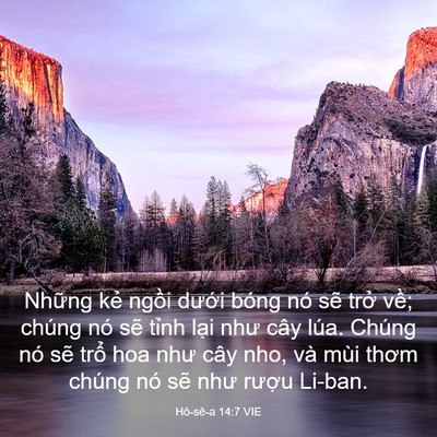 Picture 03 - Hô-sê-a 14:7 VIE - Những kẻ ngồi dưới bóng nó sẽ trở - Bible Verse Picture