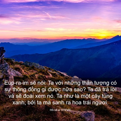 Picture 03 - Hô-sê-a 14:8 VIE - Eùp-ra-im sẽ nói: Ta với những thần - Bible Verse Picture