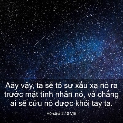 Picture 03 - Hô-sê-a 2:10 VIE - Aáy vậy, ta sẽ tỏ sự xấu xa nó ra - Bible Verse Picture
