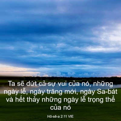 Picture 03 - Hô-sê-a 2:11 VIE - Ta sẽ dứt cả sự vui của nó, những - Bible Verse Picture