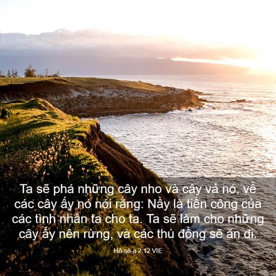 Picture 03 - Hô-sê-a 2:12 VIE - Ta sẽ phá những cây nho và cây vả nó, - Bible Verse Picture