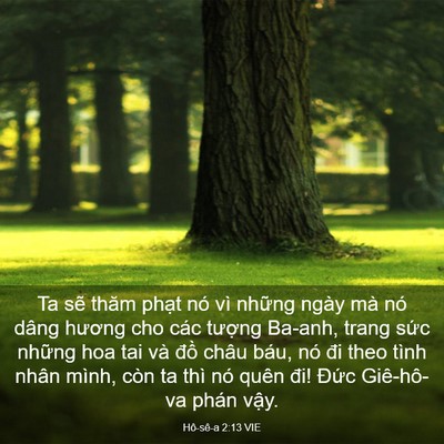 Picture 03 - Hô-sê-a 2:13 VIE - Ta sẽ thăm phạt nó vì những ngày mà - Bible Verse Picture