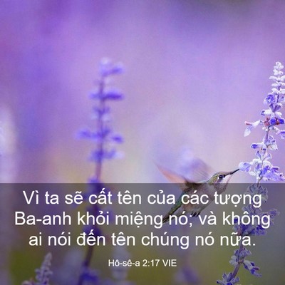 Picture 03 - Hô-sê-a 2:17 VIE - Vì ta sẽ cất tên của các tượng Ba-anh - Bible Verse Picture