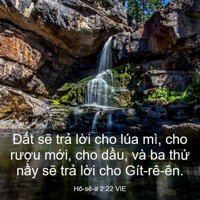 Picture 03 - Hô-sê-a 2:22 VIE - Đất sẽ trả lời cho lúa mì, cho rượu - Bible Verse Picture