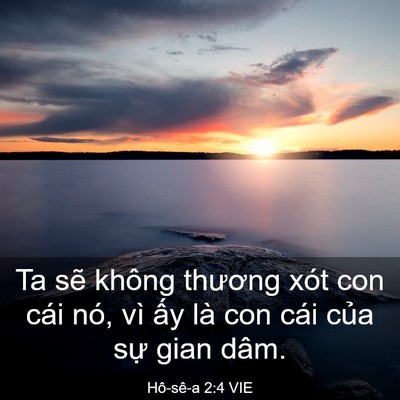 Picture 03 - Hô-sê-a 2:4 VIE - Ta sẽ không thương xót con cái nó, vì - Bible Verse Picture