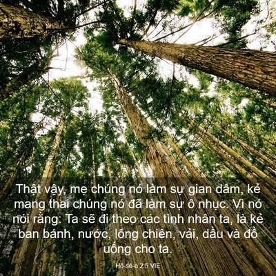 Picture 03 - Hô-sê-a 2:5 VIE - Thật vậy, mẹ chúng nó làm sự gian - Bible Verse Picture