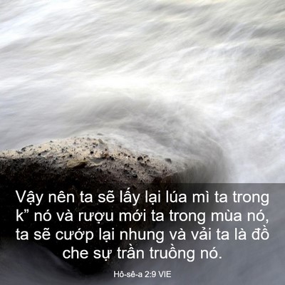 Picture 03 - Hô-sê-a 2:9 VIE - Vậy nên ta sẽ lấy lại lúa mì ta trong - Bible Verse Picture