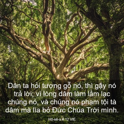Picture 03 - Hô-sê-a 4:12 VIE - Dân ta hỏi tượng gỗ nó, thì gậy nó - Bible Verse Picture