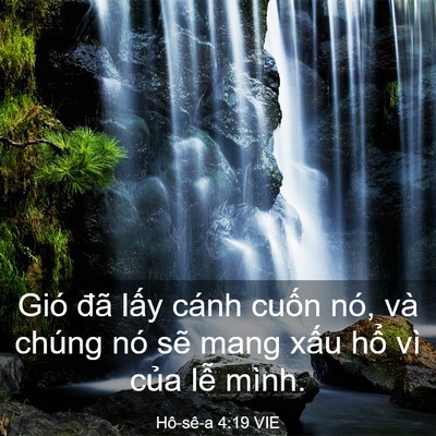 Picture 03 - Hô-sê-a 4:19 VIE - Gió đã lấy cánh cuốn nó, và chúng nó - Bible Verse Picture