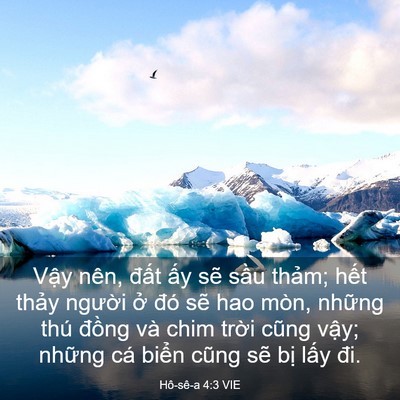 Picture 03 - Hô-sê-a 4:3 VIE - Vậy nên, đất ấy sẽ sầu thảm; hết - Bible Verse Picture