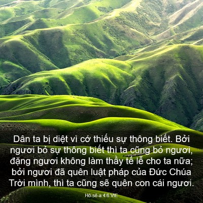 Picture 03 - Hô-sê-a 4:6 VIE - Dân ta bị diệt vì cớ thiếu sự thông - Bible Verse Picture